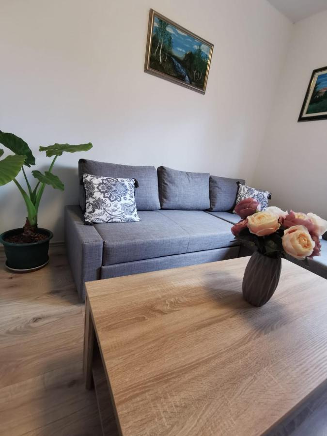 Šimun Apartment Karlovac Bagian luar foto